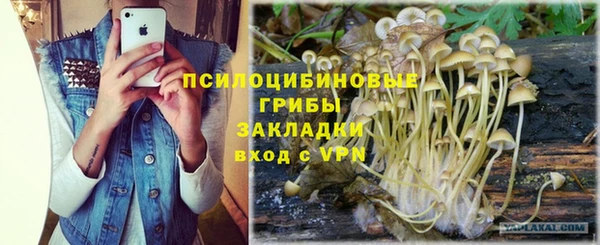 таблы Белокуриха