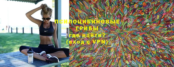 таблы Белокуриха